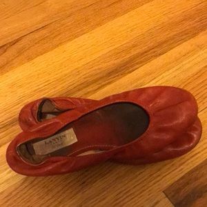 Lab in red ballet flats